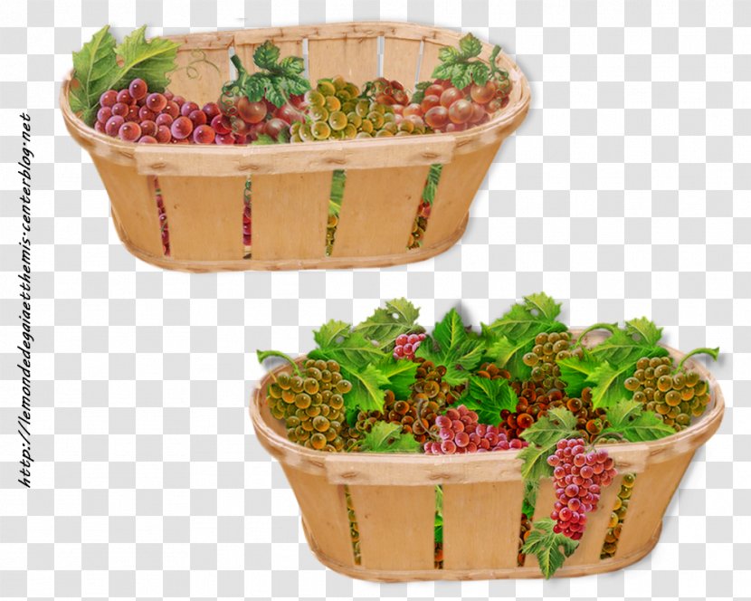 Flowerpot Plastic Herb Superfood Basket - Themis Transparent PNG