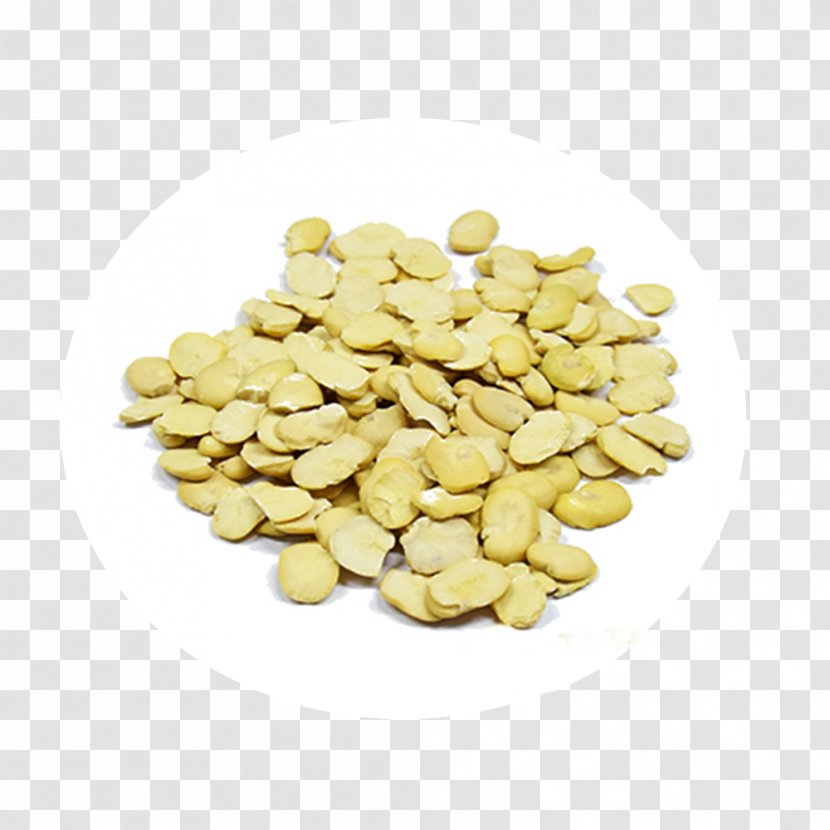 Nut Vegetarian Cuisine Lentil Cashew Shutterstock - Fava Transparent PNG