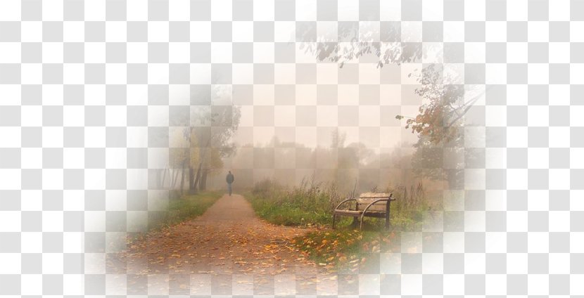 Fog Autumn Stock Photography Clip Art - Computer - Ansichtkaart Transparent PNG