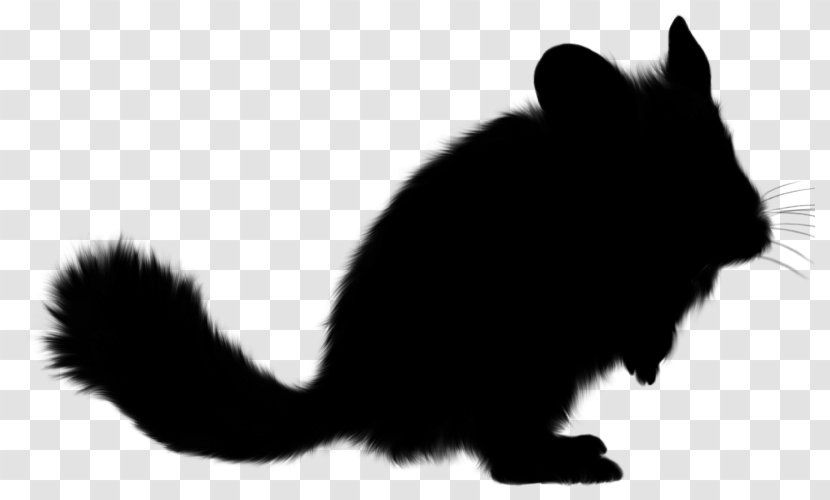 Whiskers Cat Rat Dog Squirrel - Domestic Rabbit Transparent PNG