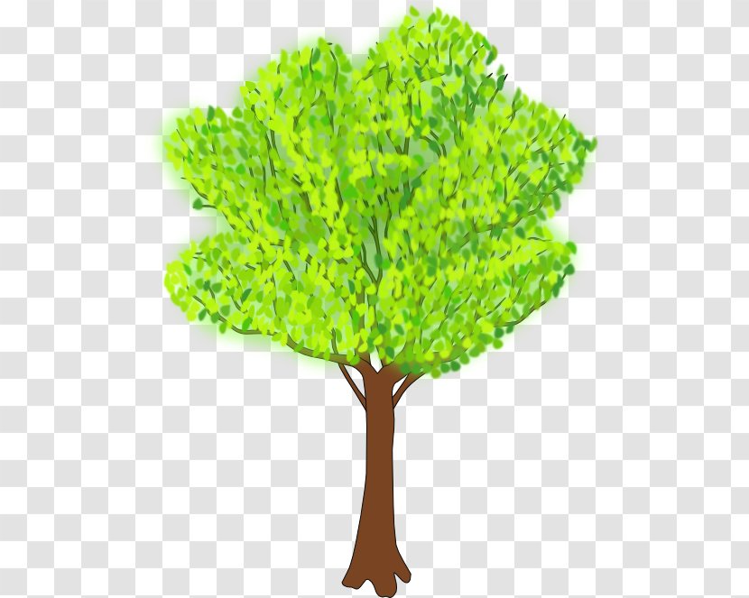 Tree Clip Art - Plant - Seasonal Vector Transparent PNG