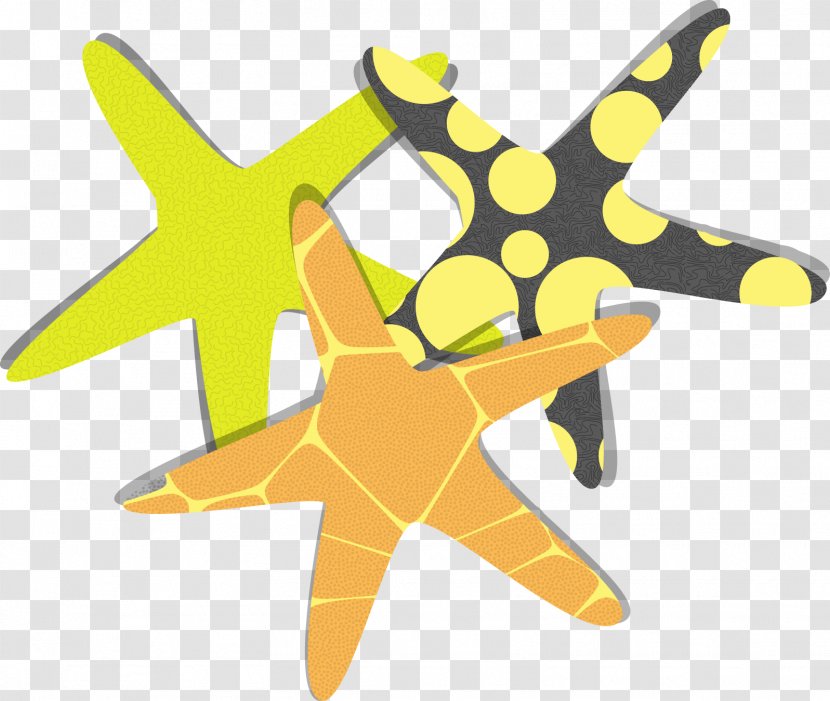 Starfish Euclidean Vector Clip Art - Yellow Transparent PNG