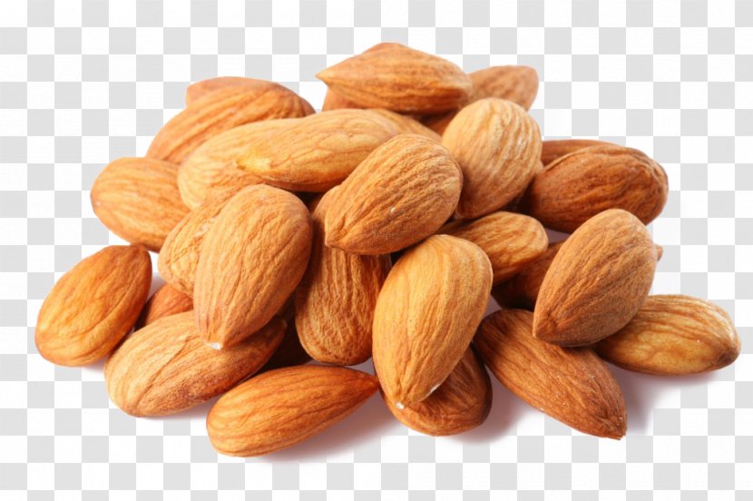 Almond Nut Clip Art - Food - Transparent Transparent PNG