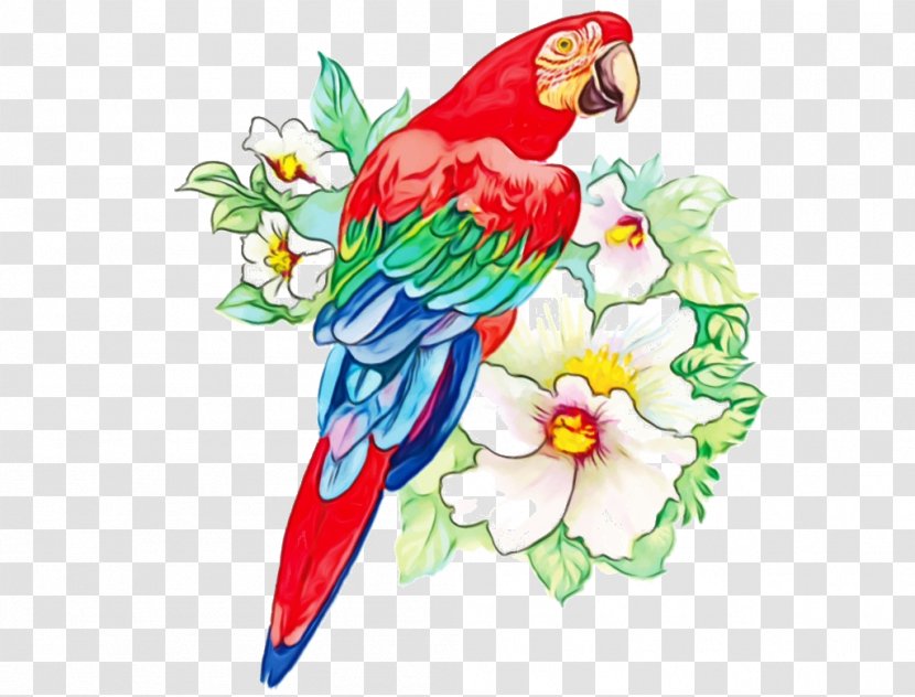 Watercolor Plant - Painting - Budgie Beak Transparent PNG