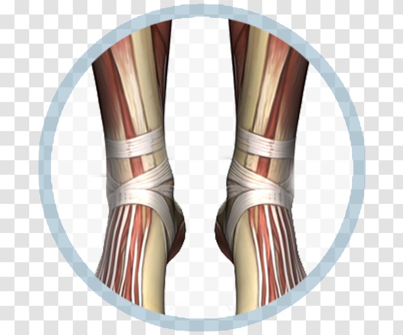 Knee Shoe Ankle Elbow - Design Transparent PNG