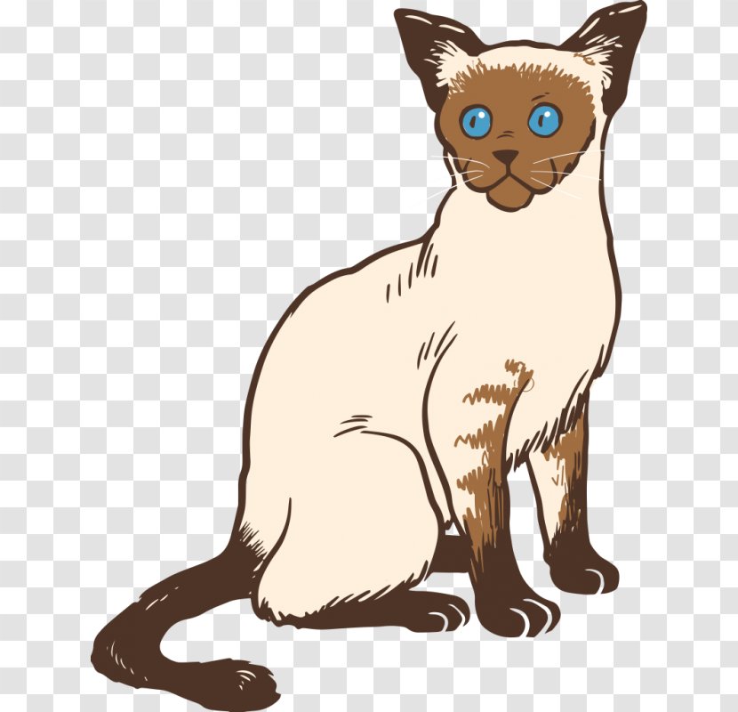 Siamese Cat Bengal Burmese Persian Manx - Paw - Kitten Transparent PNG