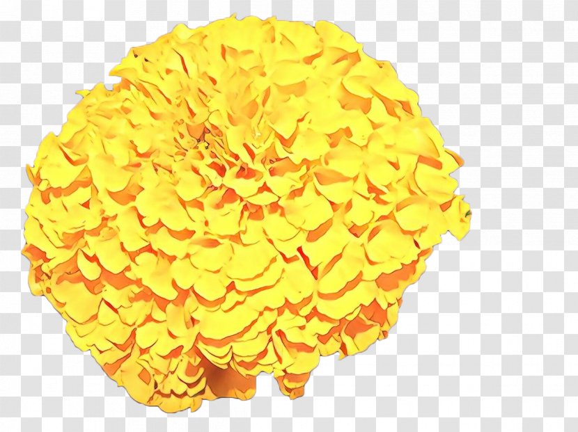 Chrysanthemum Flower Yellow Drawing Watercolor Painting - Cut Flowers - Photography Transparent PNG