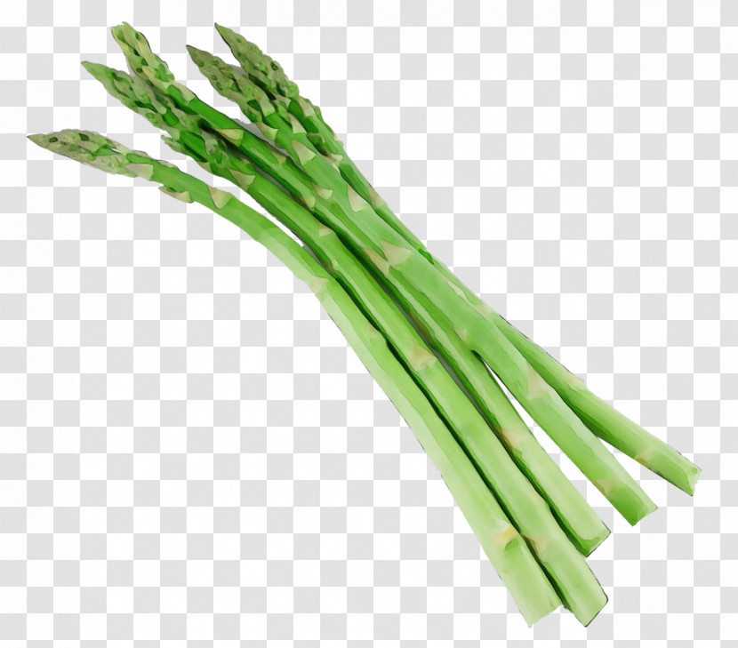 Vegetable Welsh Onion Leek Plant Scallion Transparent PNG