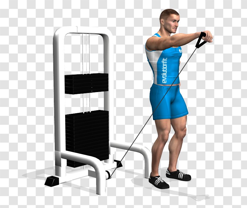 Shoulder Physical Fitness Exercise Cable Machine Fly - Watercolor Transparent PNG