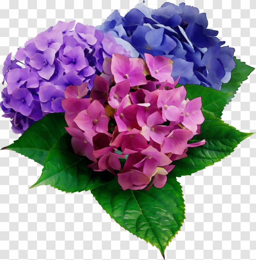Purple Watercolor Flower - Fertilisers - Lantana Bouquet Transparent PNG