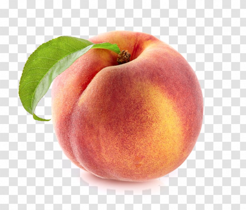 Royalty-free Nectarine Peach Photography - Leaf - Peaches Transparent PNG