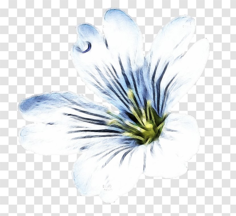 Petal Flower Blog - Blue Transparent PNG
