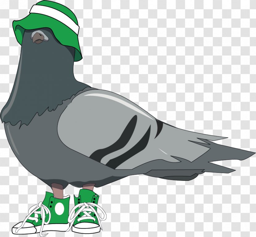 Homing Pigeon Columbidae Bird King Clip Art Transparent PNG