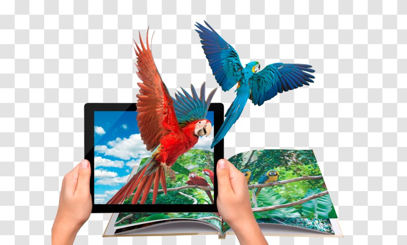 Augmented Reality Coloring Book Wikitude Virtual - Bird Transparent PNG