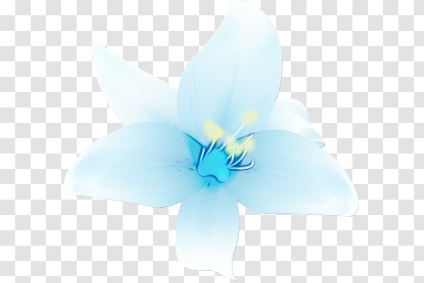 Blue Petal White Flower Plant - Iris Morning Glory Transparent PNG