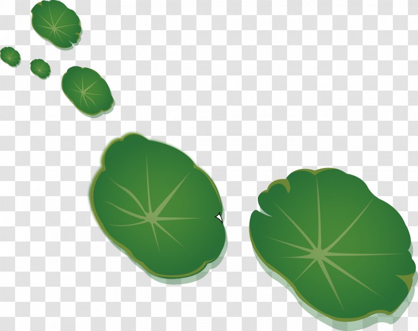 Leaf Nelumbo Nucifera Lotus Effect - Green Transparent PNG