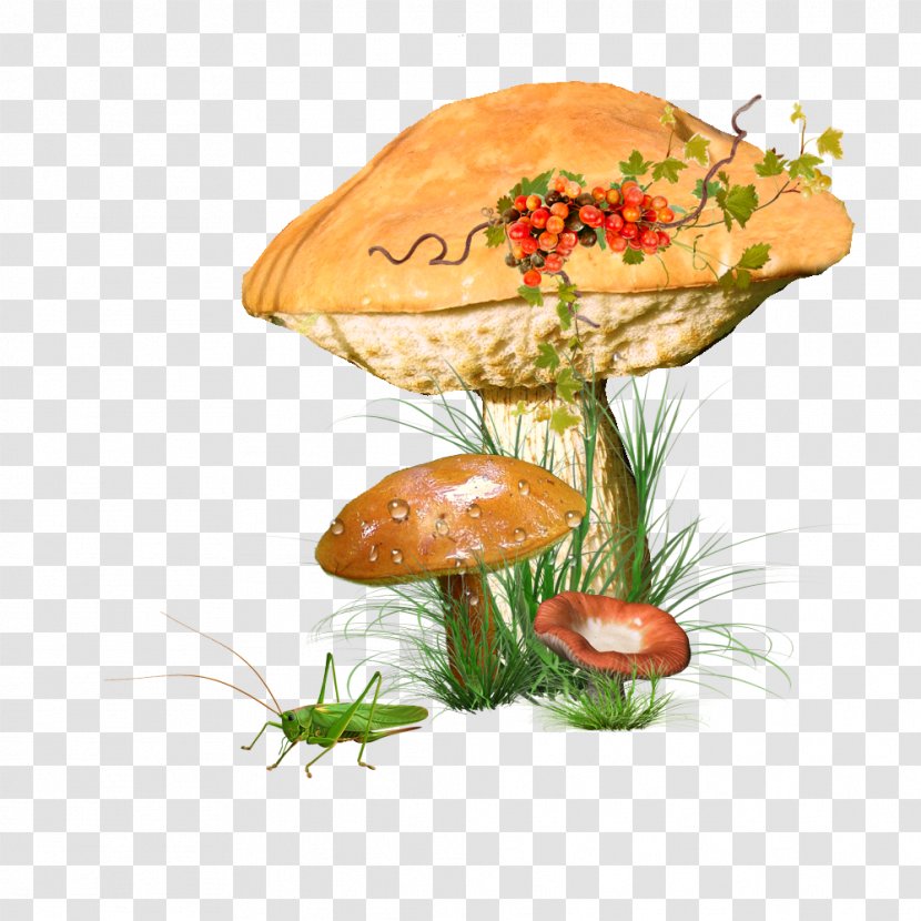 Common Mushroom Clip Art Edible - Agaricus - Champignons Transparent PNG