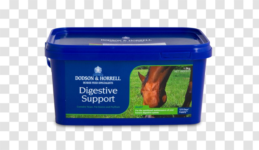Horse Dietary Supplement Digestion Human Digestive System Mineral - Hound Transparent PNG