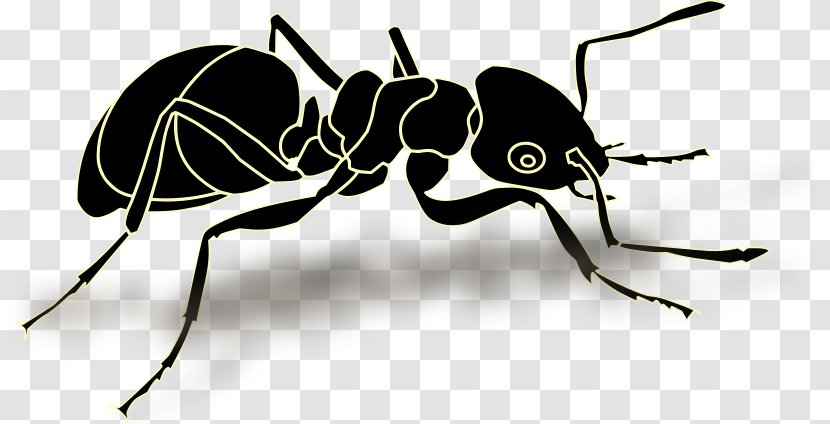 Ant Insect Vector Graphics Clip Art Illustration - Pest - Formiga Preta Transparent PNG