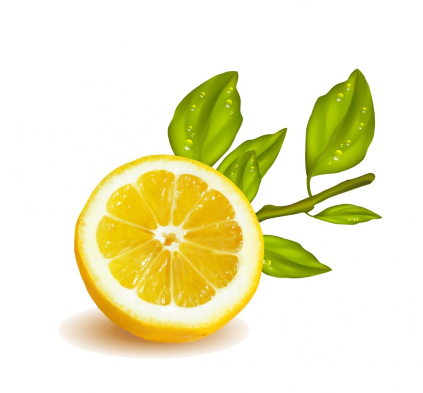 Lemon Vector Graphics Illustration Fruit Clip Art - Tangelo - Ad Transparent PNG