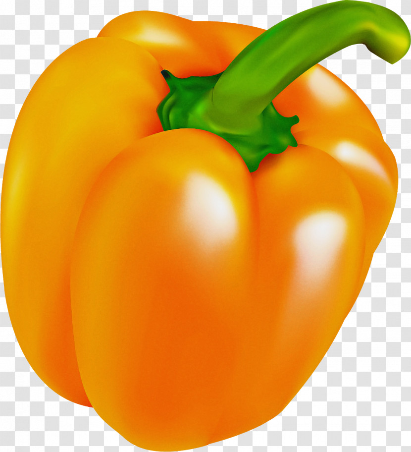 Tomato Transparent PNG