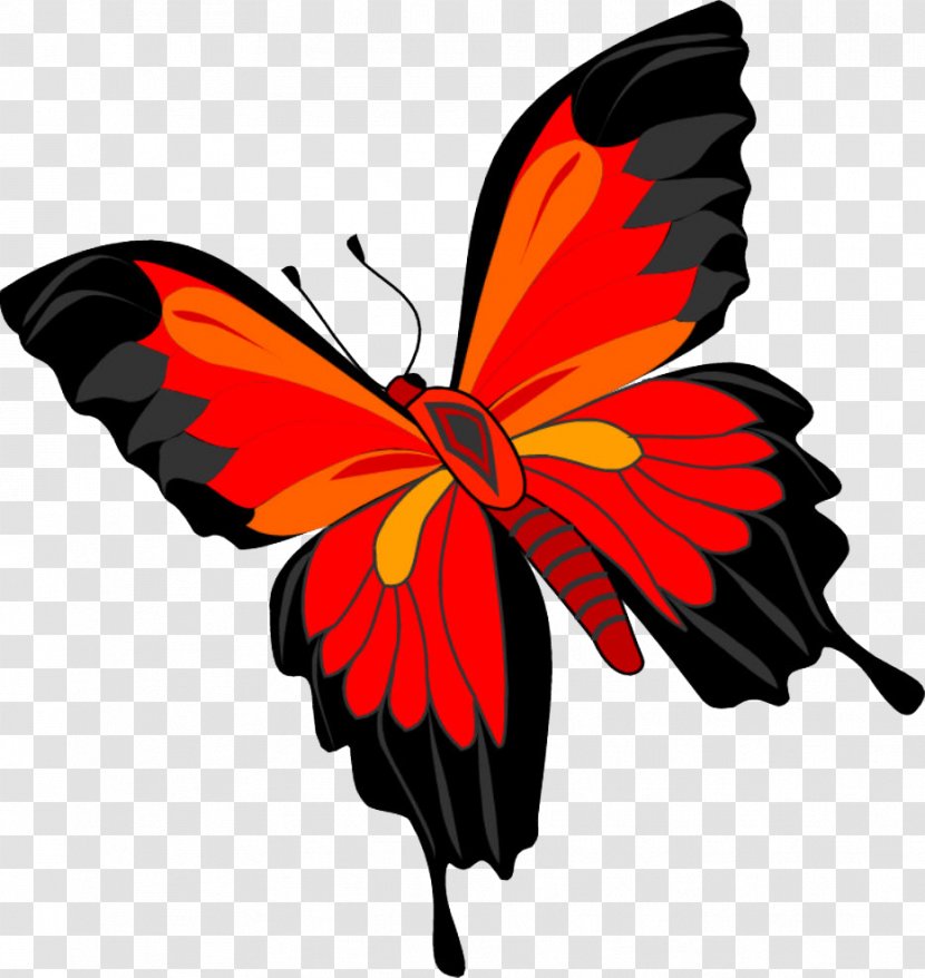 Butterfly Clip Art - Arthropod - Image Transparent PNG