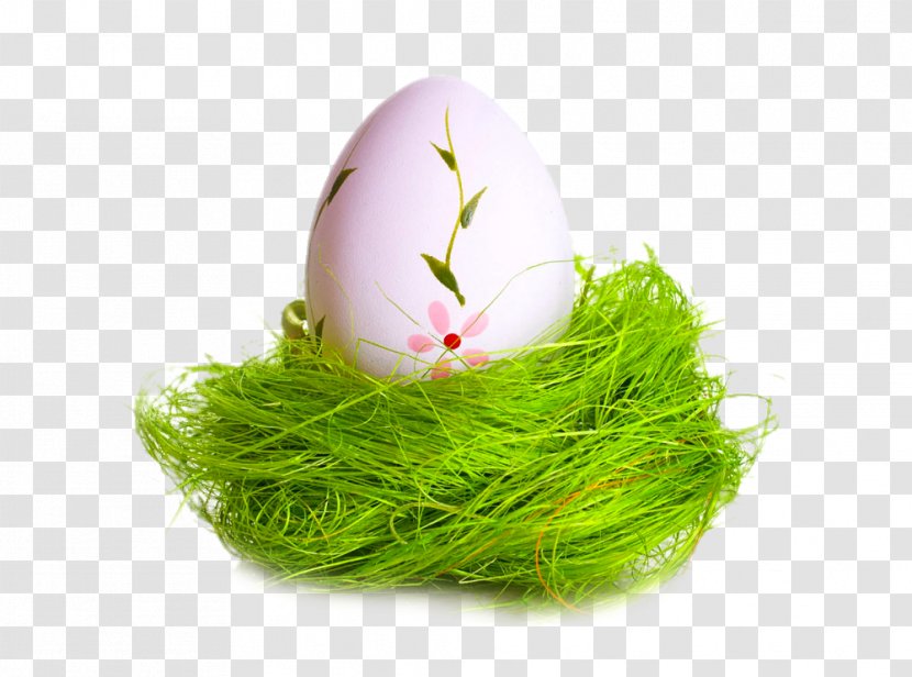 Easter Bunny Holiday Egg - Grass Family - Eggs On A Green Silk Transparent PNG