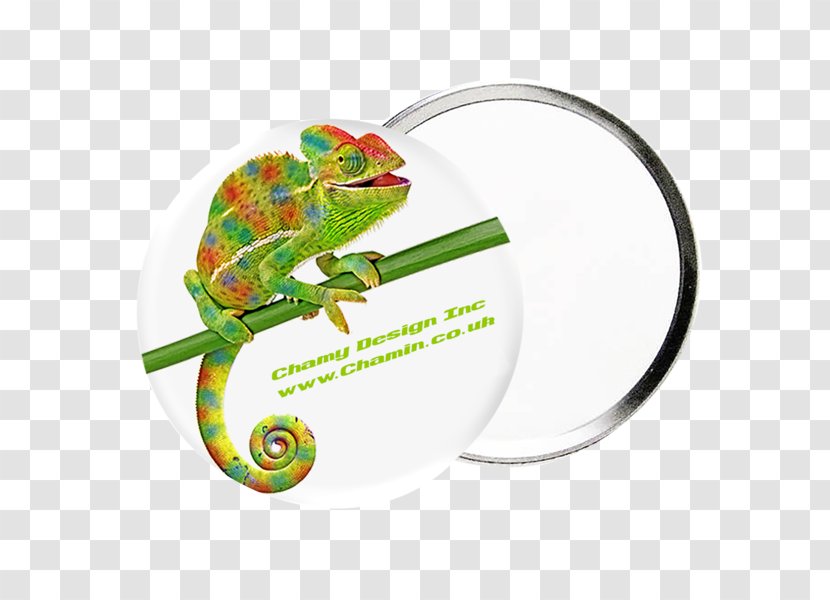 Chameleons Real World Psychology Reptile Iguanomorpha Animal - Trek Bicycle Corporation - Promotional Panels Transparent PNG