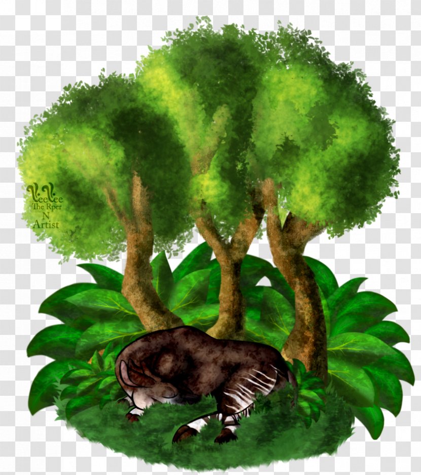 Tree Biome Fauna Illustration Shrub Transparent PNG