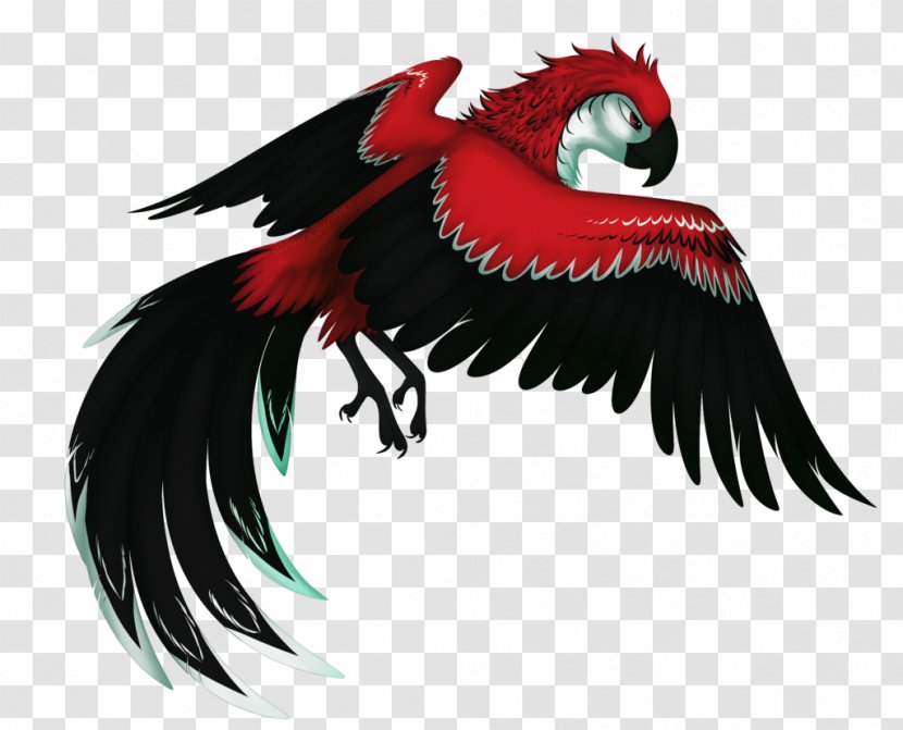 Bird Drawing Macaw Digital Art - Rio Transparent PNG