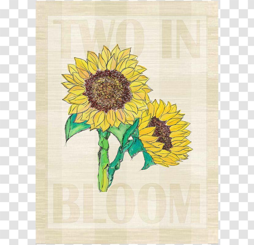 Floral Design Sunflower M - Seed Transparent PNG