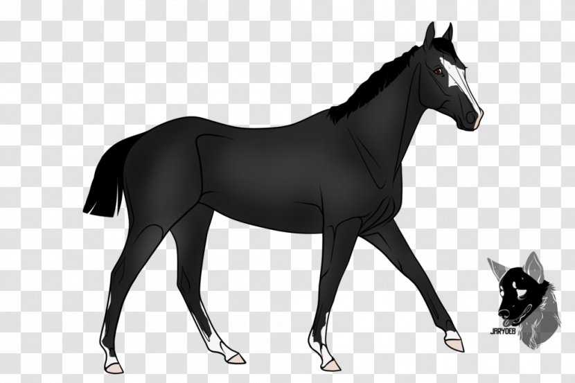 Friesian Horse Stallion Standardbred Sulky Thoroughbred - Mustang - Arabian Night Transparent PNG