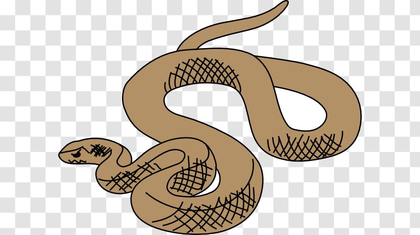 Eastern Brown Snake Clip Art - Reptile - Cartoon Cliparts Transparent PNG