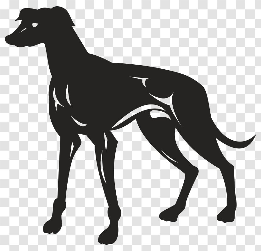 Greyhound Lines Royalty-free - Black And White - Silhouette Transparent PNG