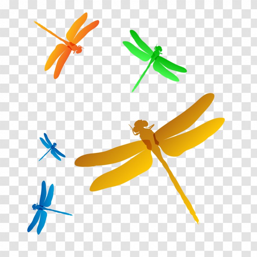 Color Dragonfly Clip Art - Yellow Transparent PNG