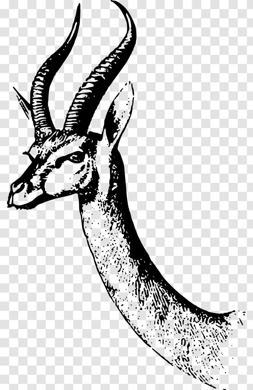 Antelope Dama Gazelle Clip Art - Monochrome Transparent PNG