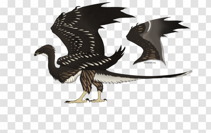 Bald Eagle Beak Dragon Transparent PNG