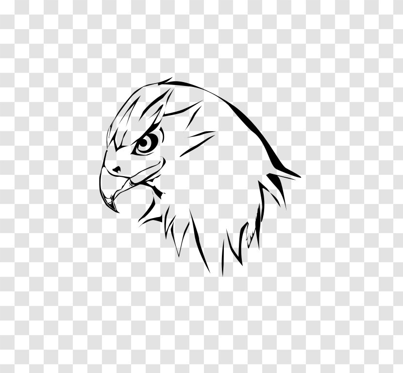 Black And White Whiskers Drawing Hawk Clip Art - Wing Transparent PNG