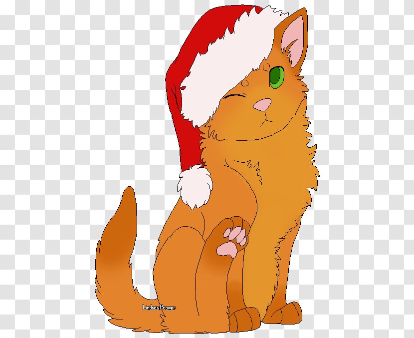 Kitten Whiskers Cat Red Fox - Organism Transparent PNG