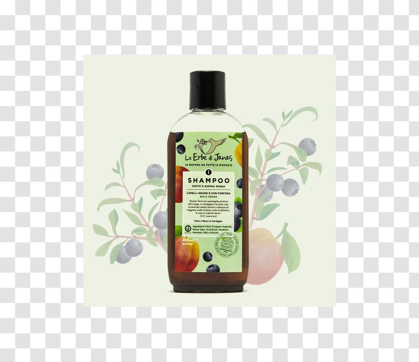 Shampoo Capelli Dandruff Hair Cosmetics - Dry Transparent PNG