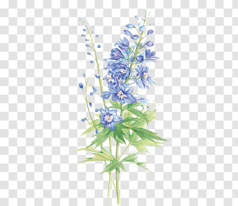 Hyacinthus Orientalis Floral Design Flower Purple - Arranging - Hyacinth Transparent PNG
