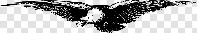 Bald Eagle Clip Art Drawing Bird - Autocad Dxf - Clipart Transparent PNG