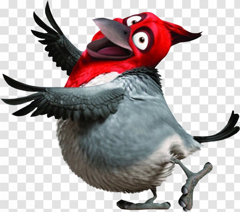 Hollywood Nigel Linda Rio Character - Bird Transparent PNG