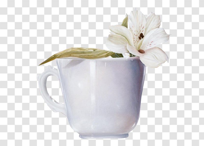 Tea Coffee Cup Flower - Time Transparent PNG