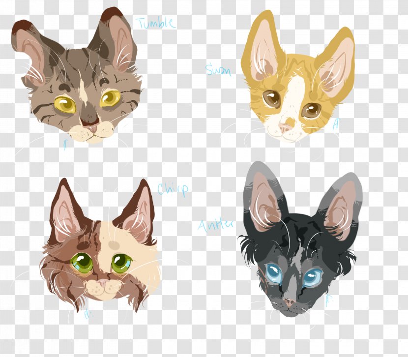Whiskers Kitten Fauna Transparent PNG
