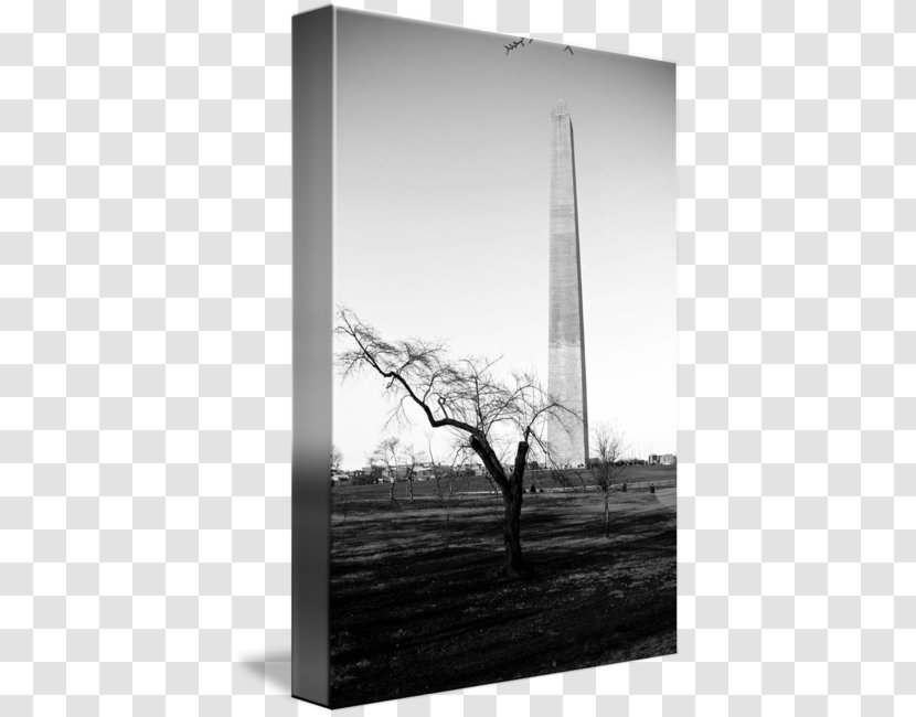 Stock Photography White Sky Plc - Washington Monument Transparent PNG
