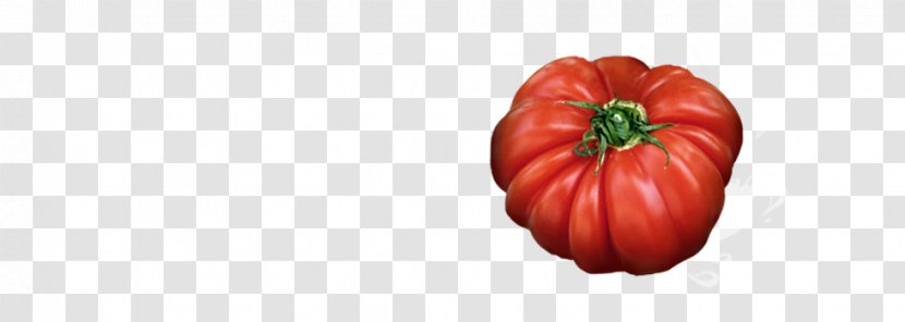 Tomato Bell Pepper Paprika Winter Squash Chili - Cucurbita - Picture Material Transparent PNG