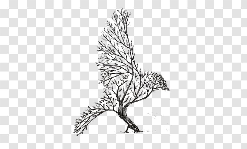 Drawing Ink Art Sketch - Beak - Bird Tree,Hand Painted Transparent PNG