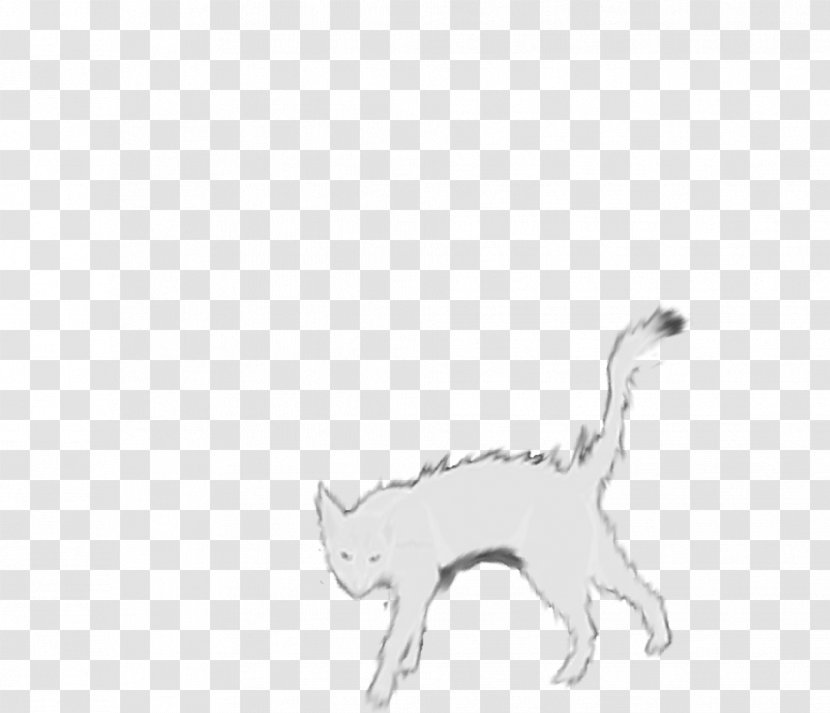 Cat Dog Paw Mammal Canidae Transparent PNG