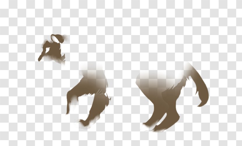 Lion Carnivores Agility Endurance Physical Strength - Skill Transparent PNG